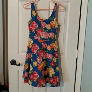 Roses Floral Skater Dress